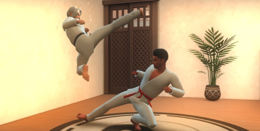 Мод Sims 4 «Боевые искусства» от Mercuryfoam и Tanky
