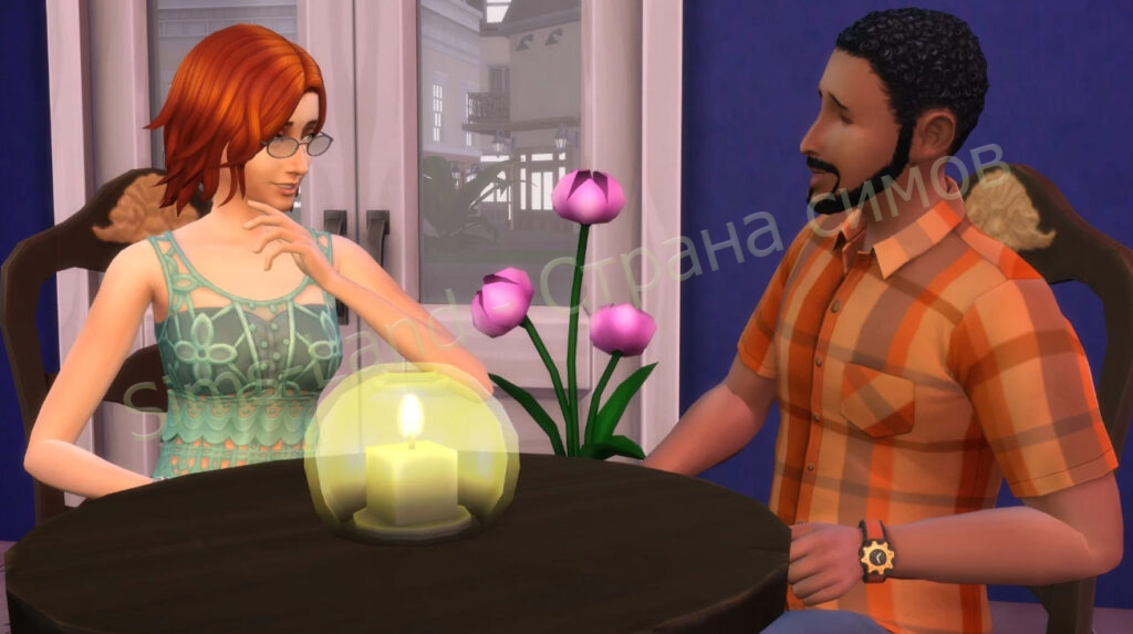 Sims 4 Фототрюки в режиме строительства для профессиональных фотографий