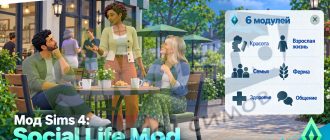 Мод Sims 4 «Социальная жизнь» от melunn